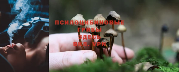 мдма Осташков