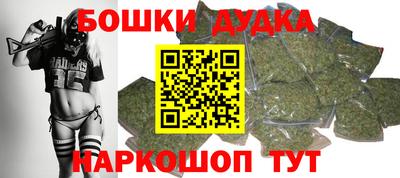 прущие грибы Абакан