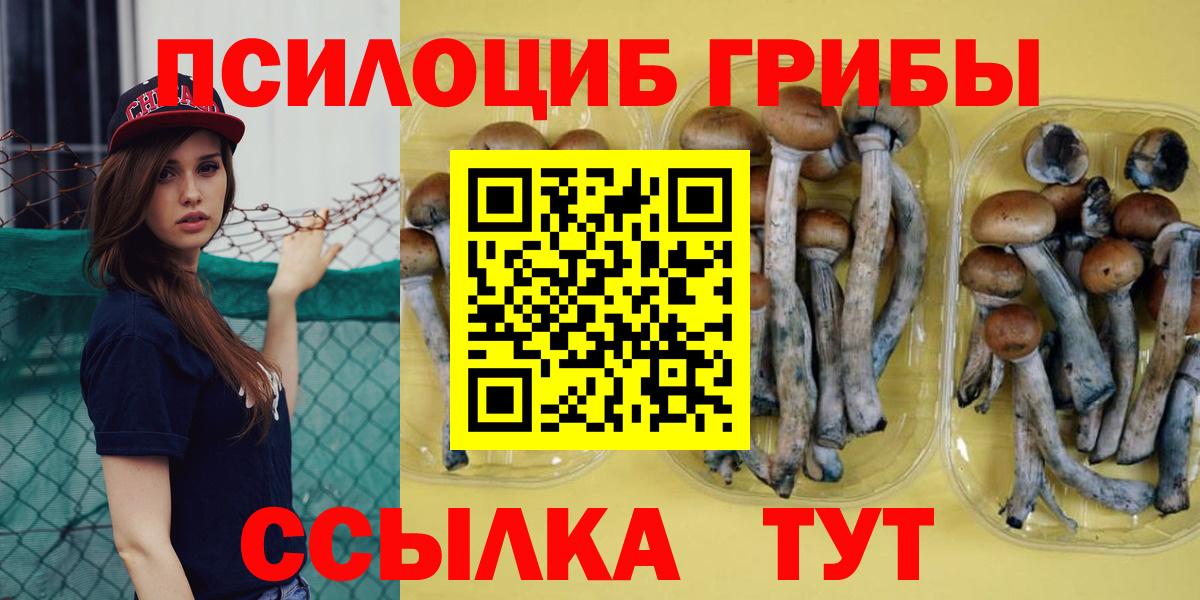 Псилоцибиновые грибы Cubensis  наркота  Алатырь  Вход с VPN 