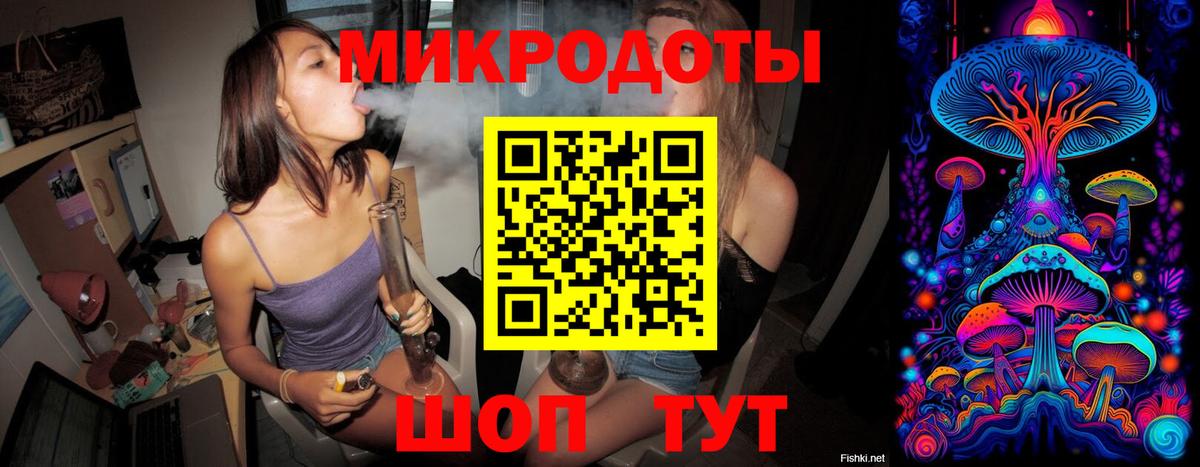 Псилоцибиновые грибы MAGIC MUSHROOMS  Галлюциногенные грибы Magic Shrooms  Алатырь 